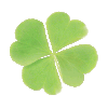 clover