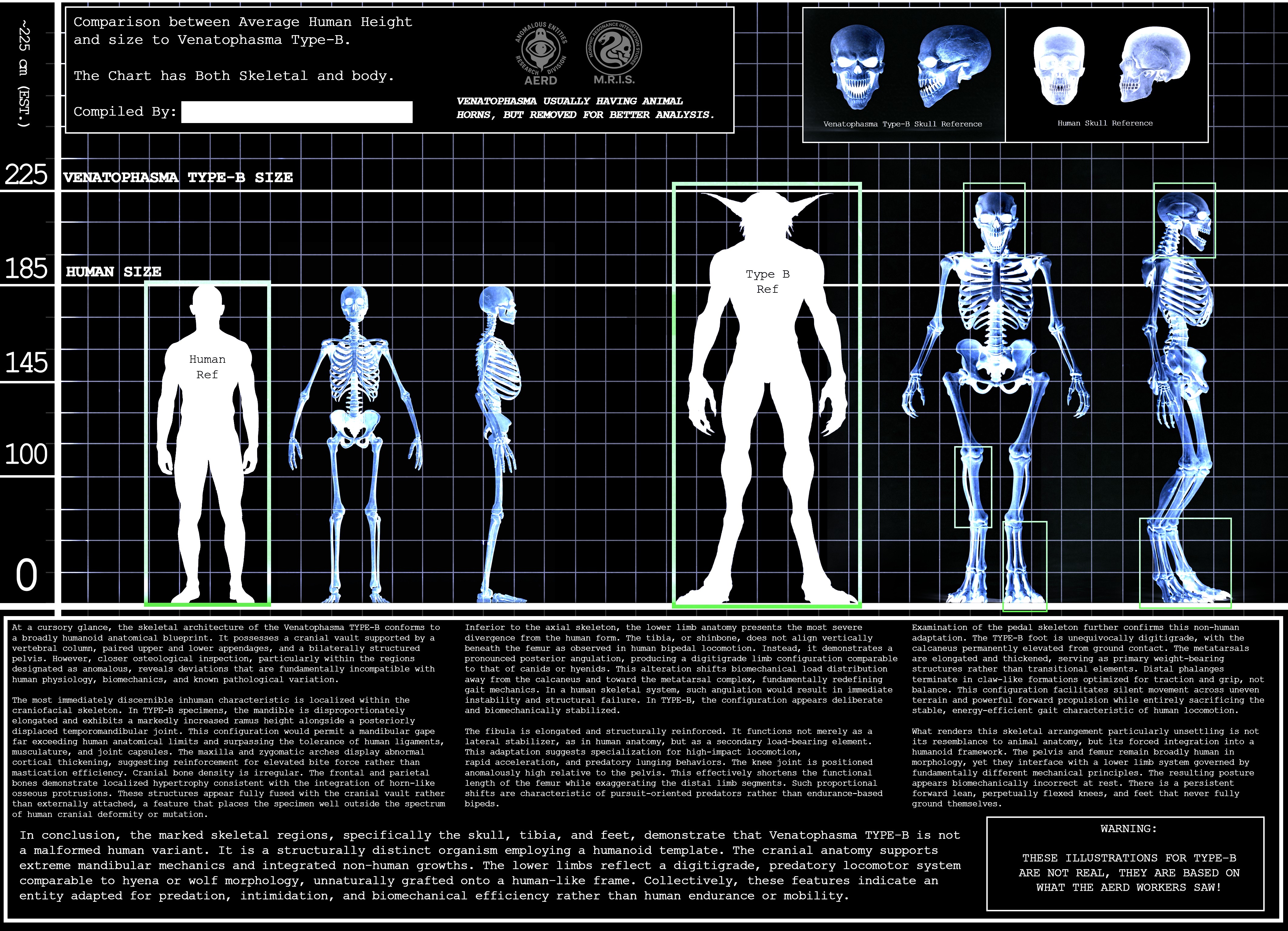 Research Image 5
