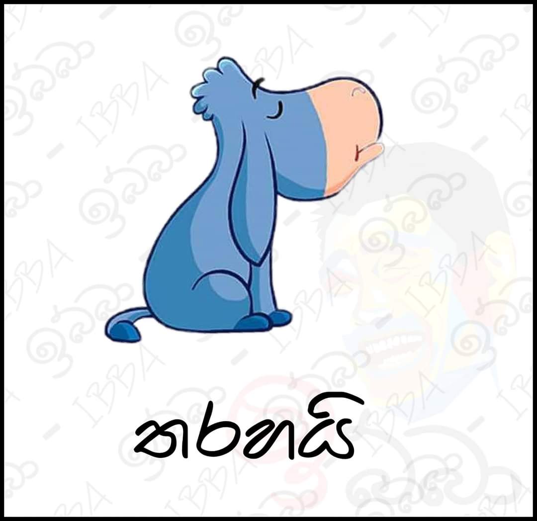 doe21s.jpg