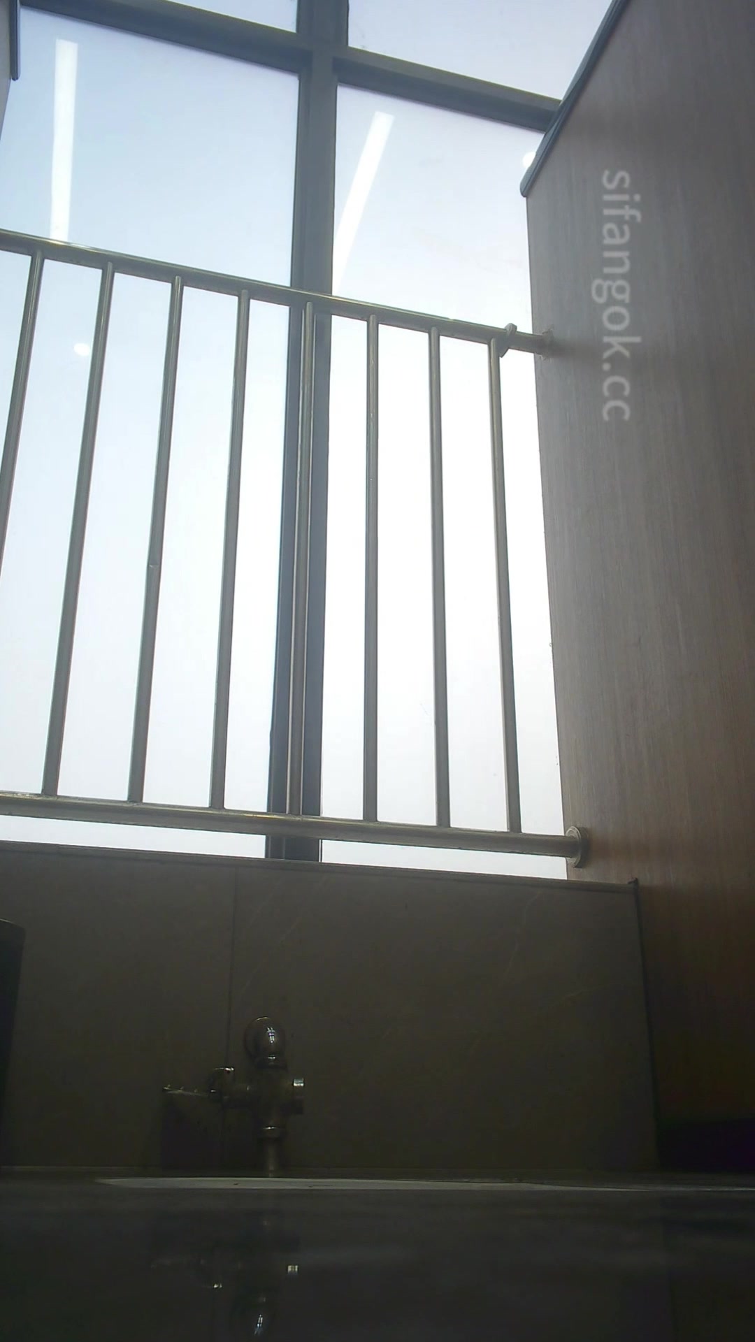 Toilet Spy — 0415(31) — screenshot 2