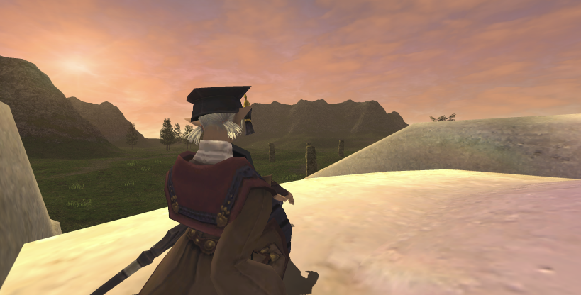 A FFXI screenshot of an Elvaan sitting, looking at the sunset.