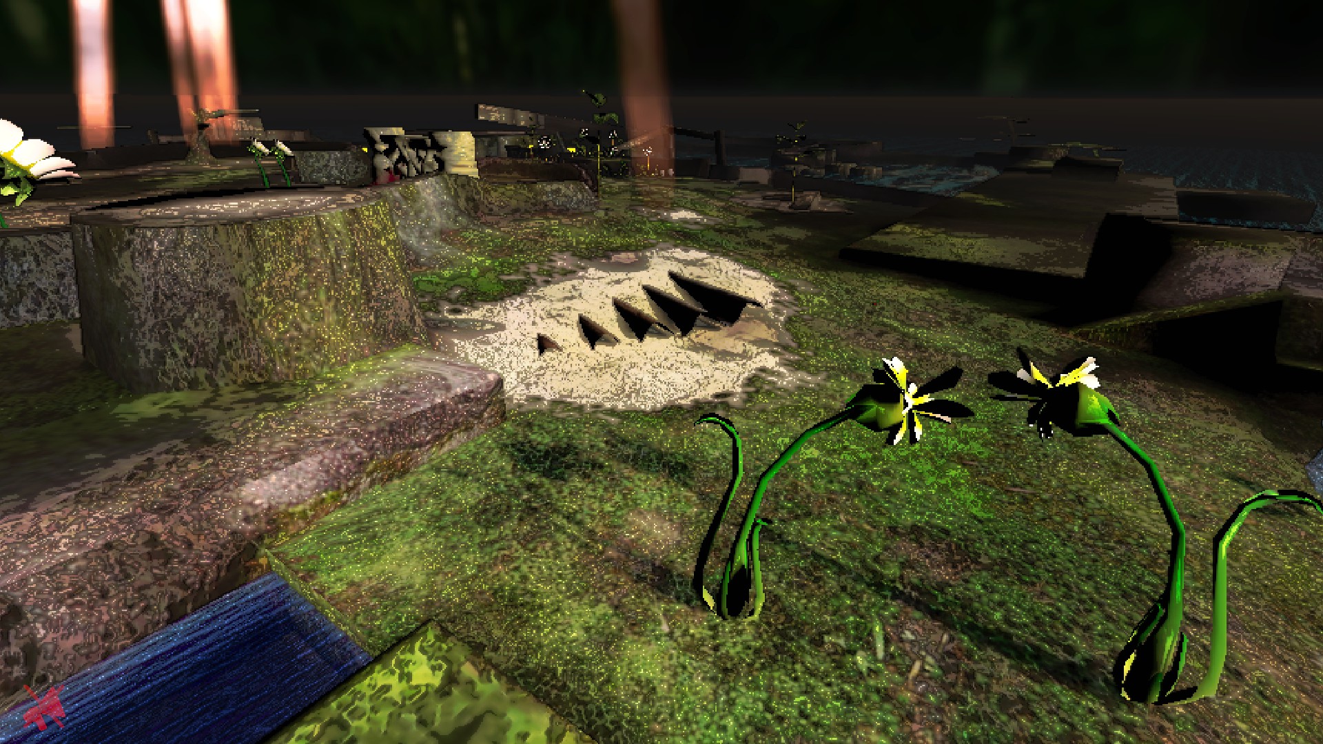 Burgeoning Spiderwort across the bridge near main.