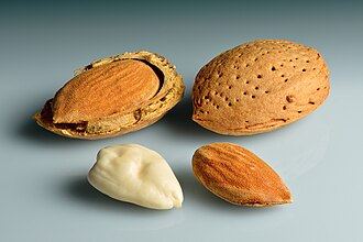 Food 11: Soaked California & Gurbandi Almonds / Badam (Alpha-Tocopherol)