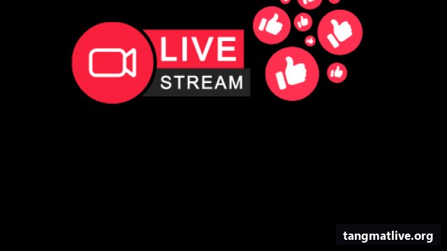 Dịch vụ tăng like Tiktok tại Tangmatlive.org