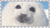 seal