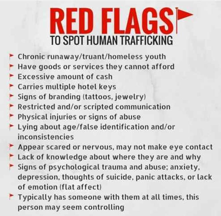 2021年6月29日:没有人可以选择退出ーー我们正在全面揭露黑暗面|星际飞船地球