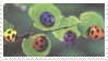 LadyBugs