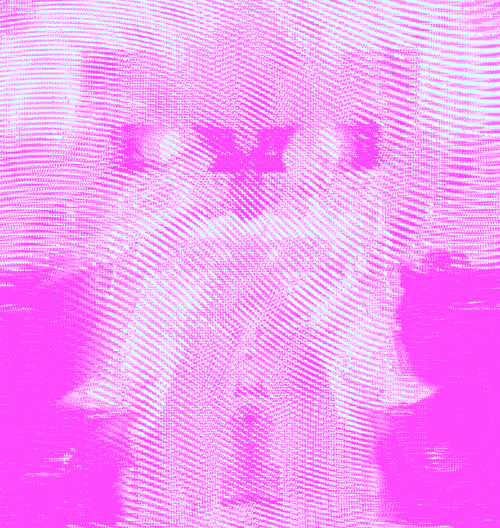 https://files.catbox.moe/e0qtt7.gif