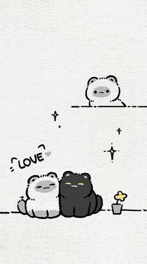 壁纸预览