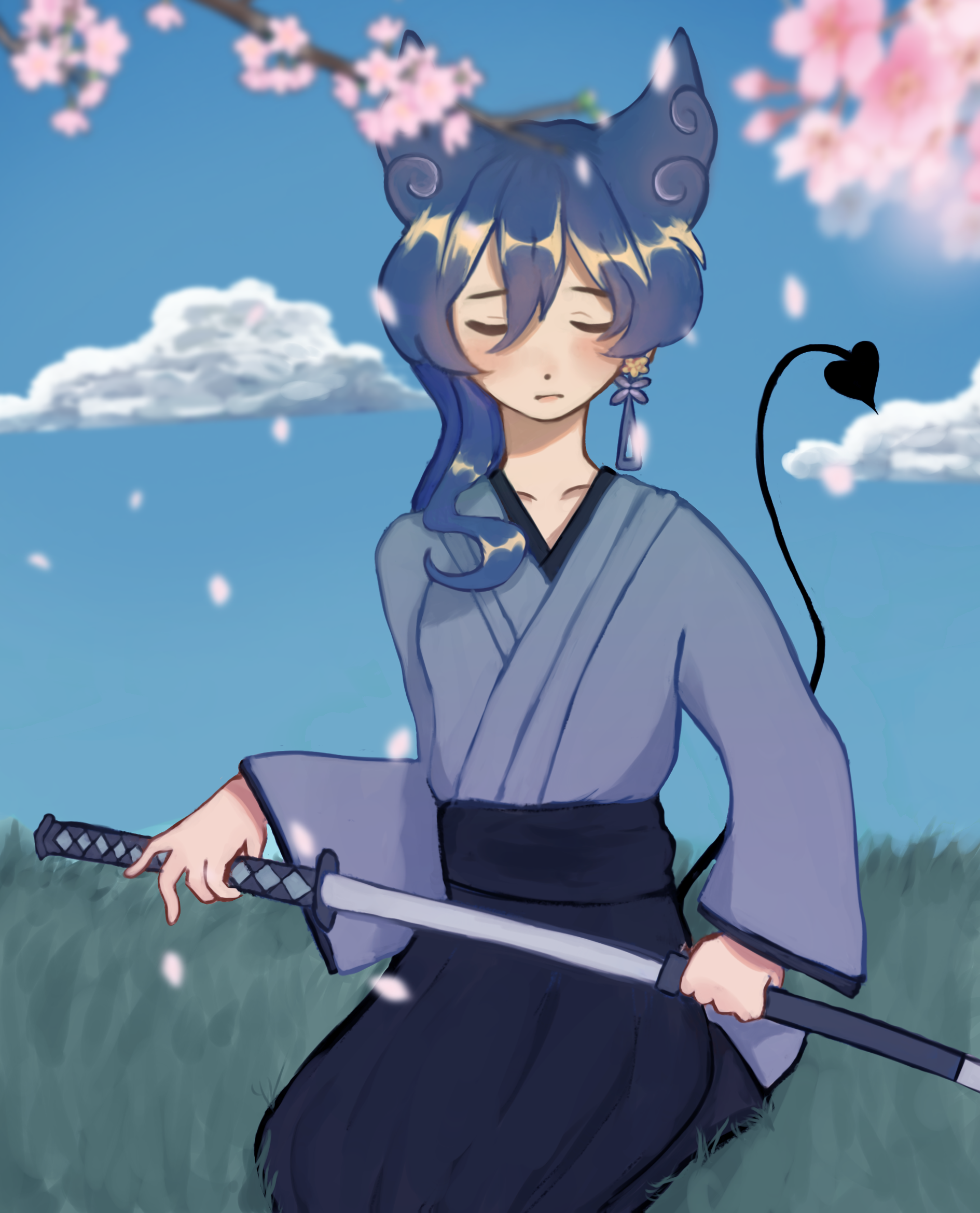 sora for falopaa