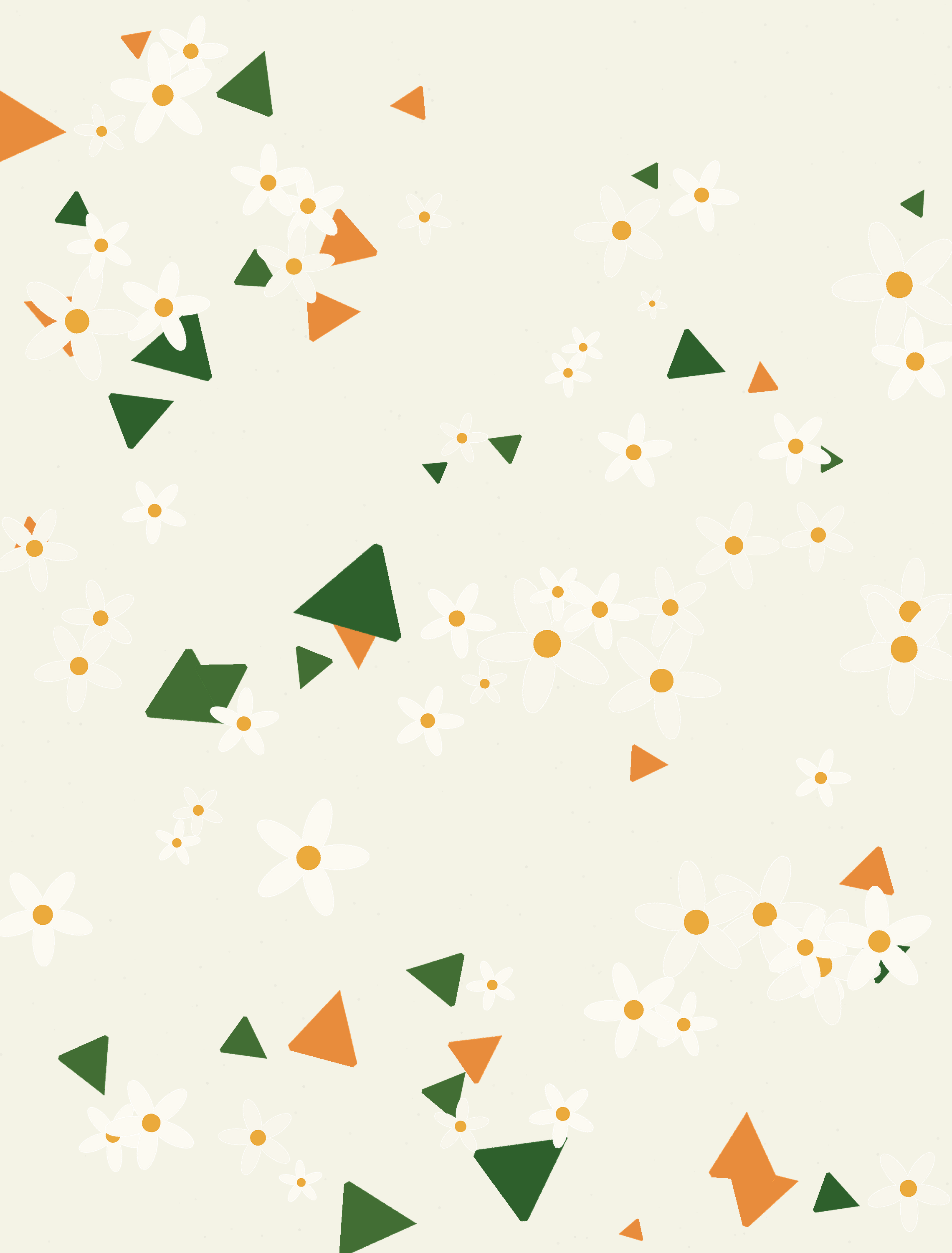 Orange Blossom — Florida state flower