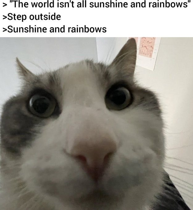 People say there is no rainbow and sunshine outside but then you go and there it is.