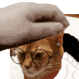 e5hj9n.gif