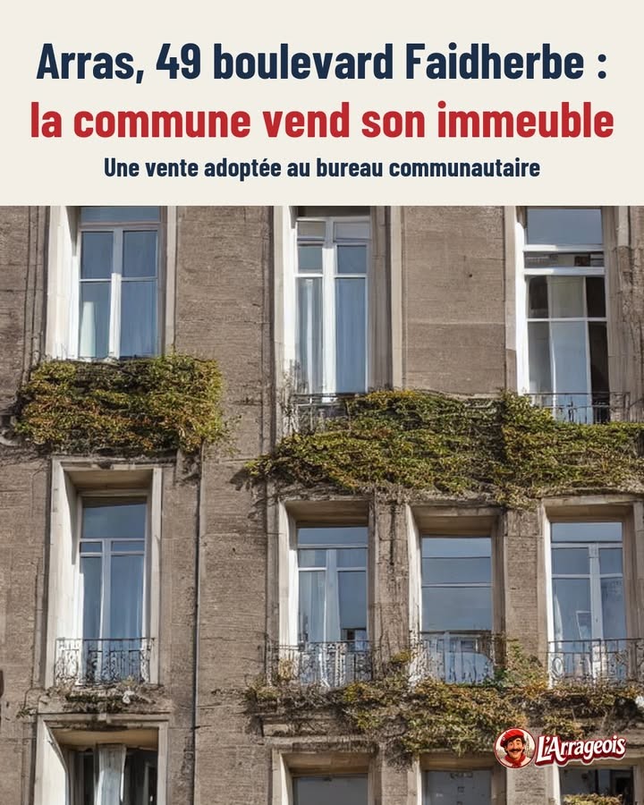 Façade d'un immeuble en pierre avec des fenêtres et des balcons, partiellement recouverte de lierre.