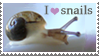 i love snails