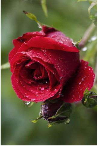 瑞典银河真理报|第372期 事实上