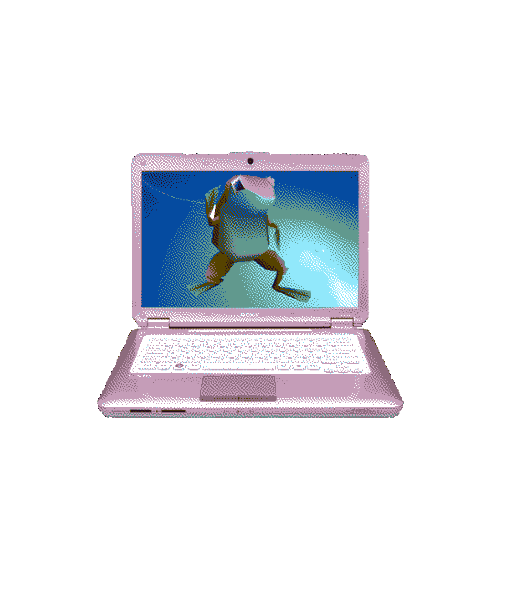 computer monitor