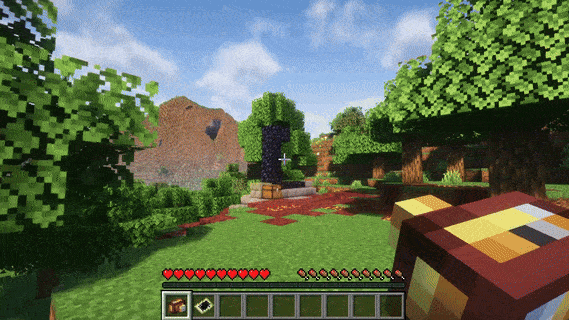 A GIF of the Camera being used