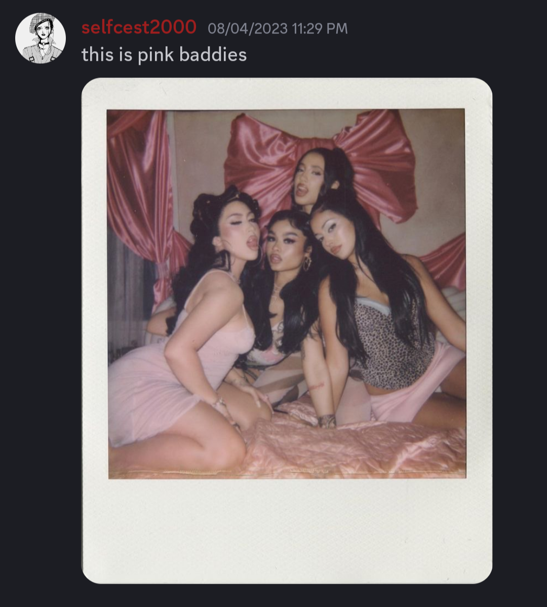 chi sending real life photo of the pink baddies