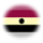singularian