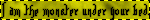 fefg3v.webp