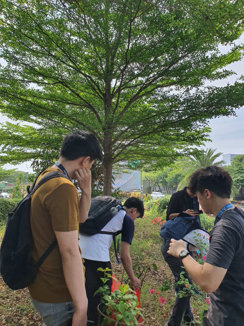 Preview Volunteer Penanaman Pohon Sekitar Kampus