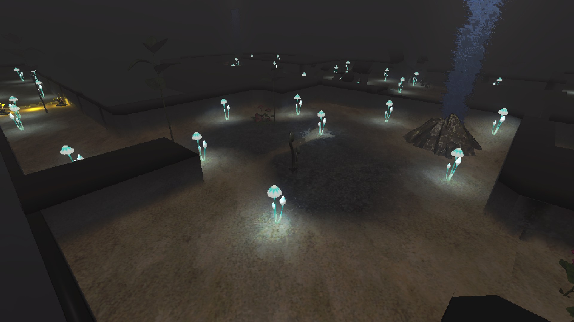 A large room with a partially uncovered concrete floor, and an exit geyser. A dead figwort, fiddlehead, and shoot can be seen.