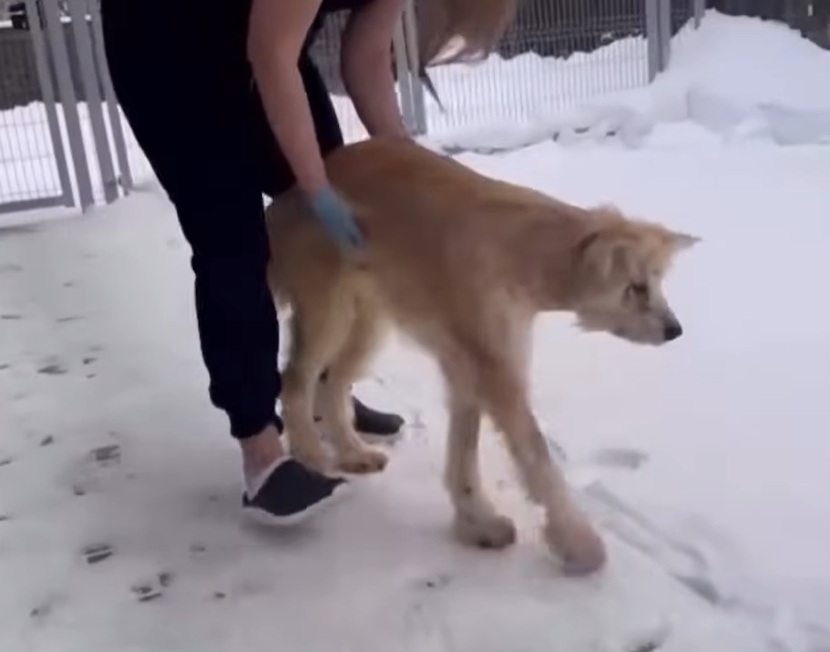 Body Image 3