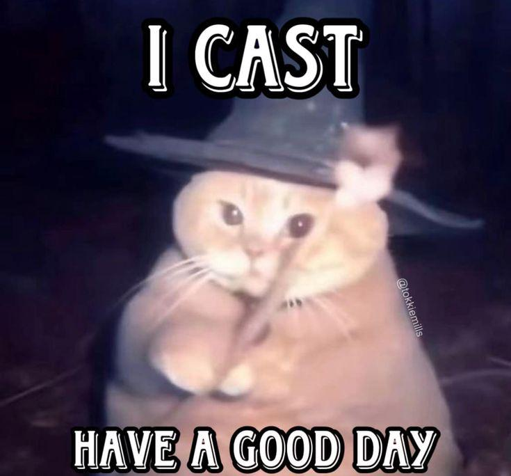 cat wizard casting a good day to you