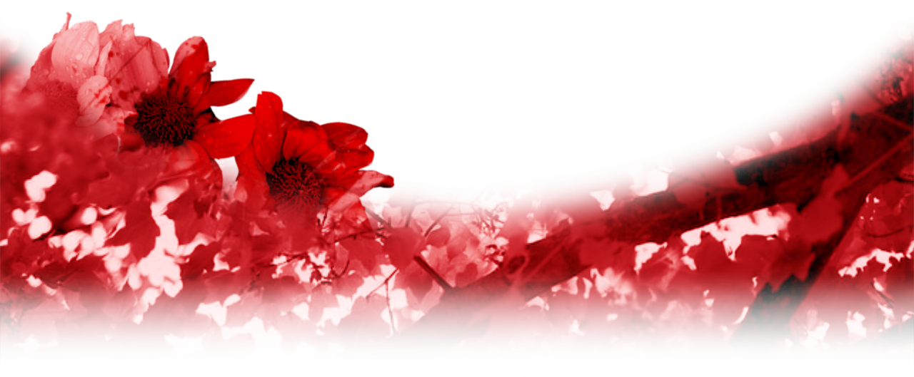 image divider of a base made in scp 3008