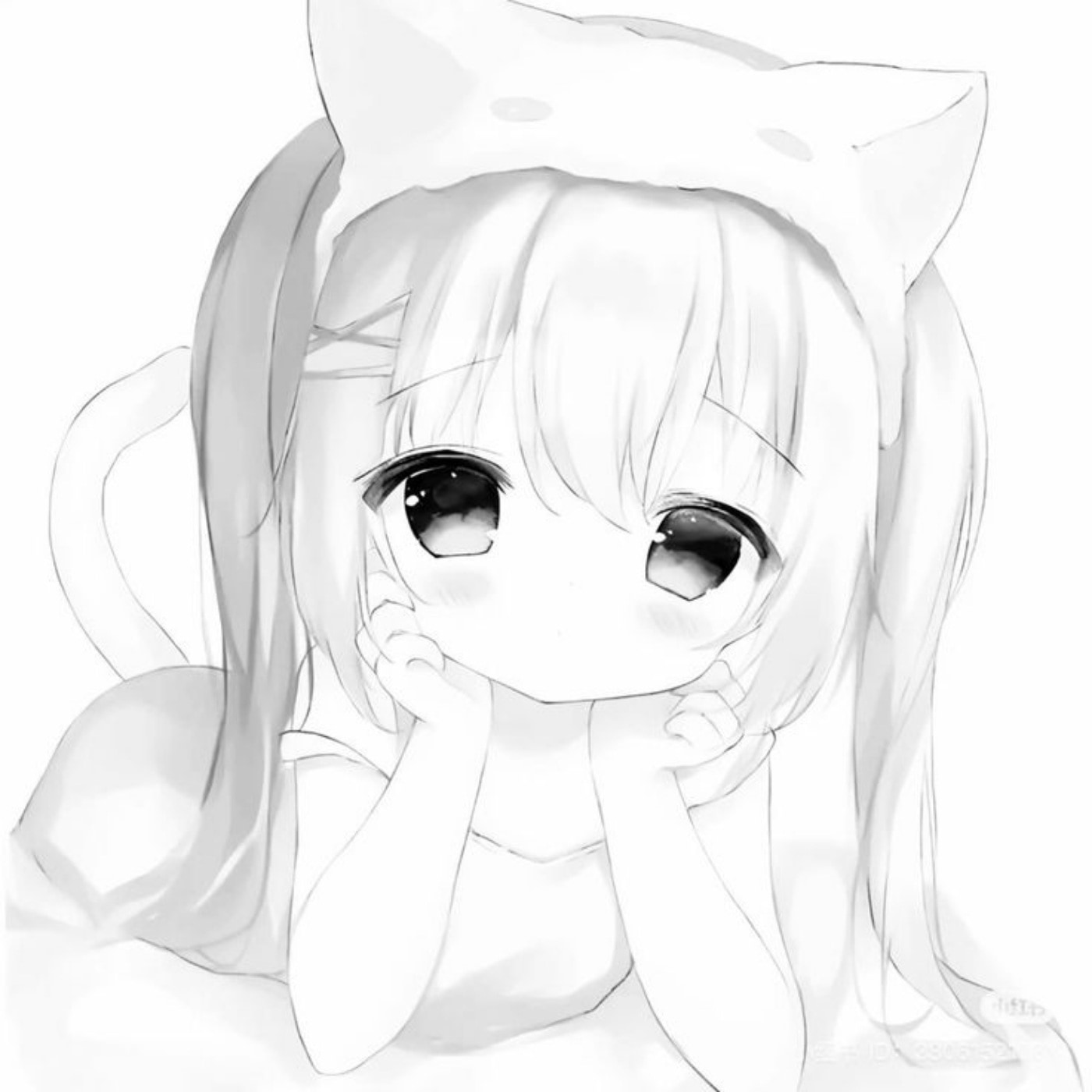 donation preview