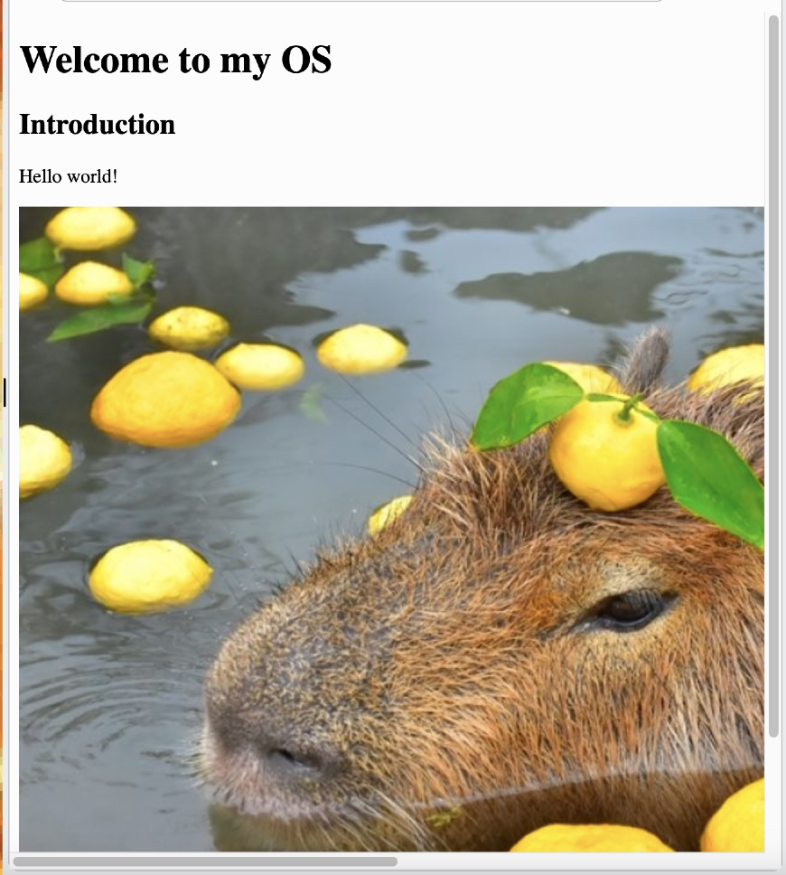 Website with text on top and a Capybara image