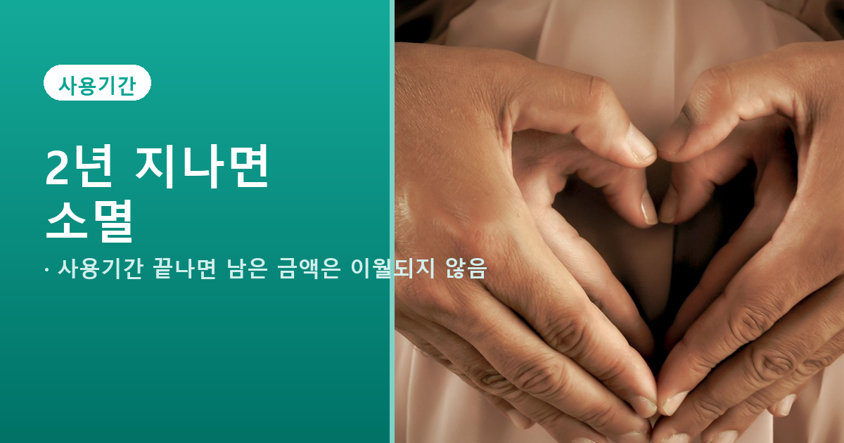 임신출산 진료비 바우처 사용기간과 잔액 소멸 기준 안내 배너