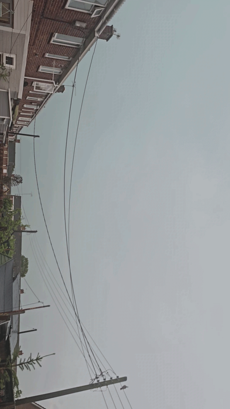 fz5tl3.gif