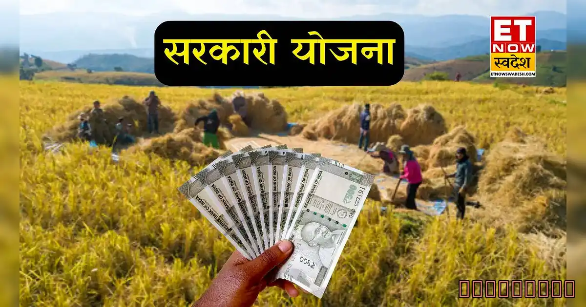 मुफ्त योजनाएं! नया रुप्याऐं 5 लाख, घर भी मिलेगा? 📈 देखें पूरी चुनौतीपूर्ण लिस्ट - A Hand Holding Money In A Field