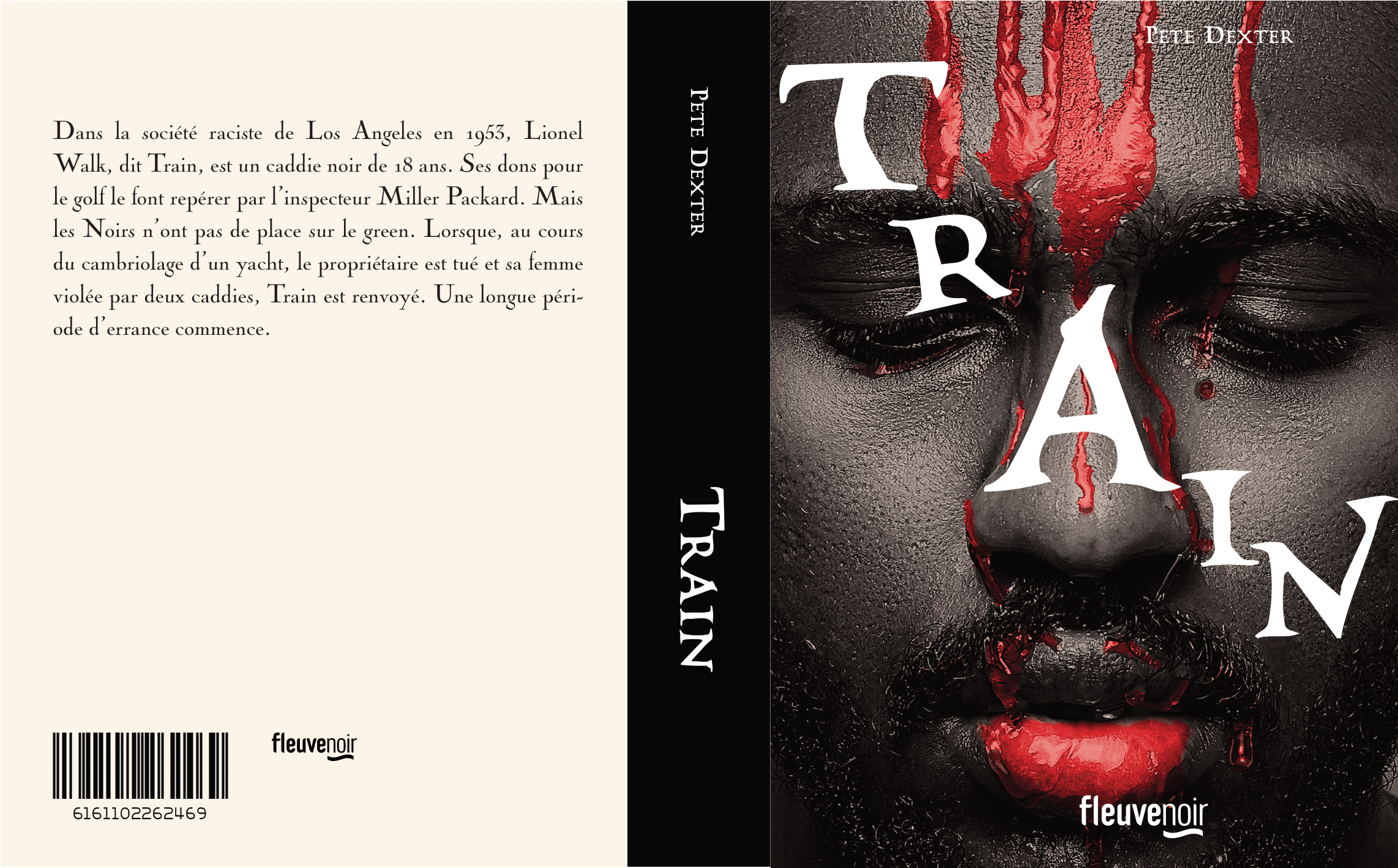 Présentation de la série Roman Noir