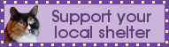 support local shelters
