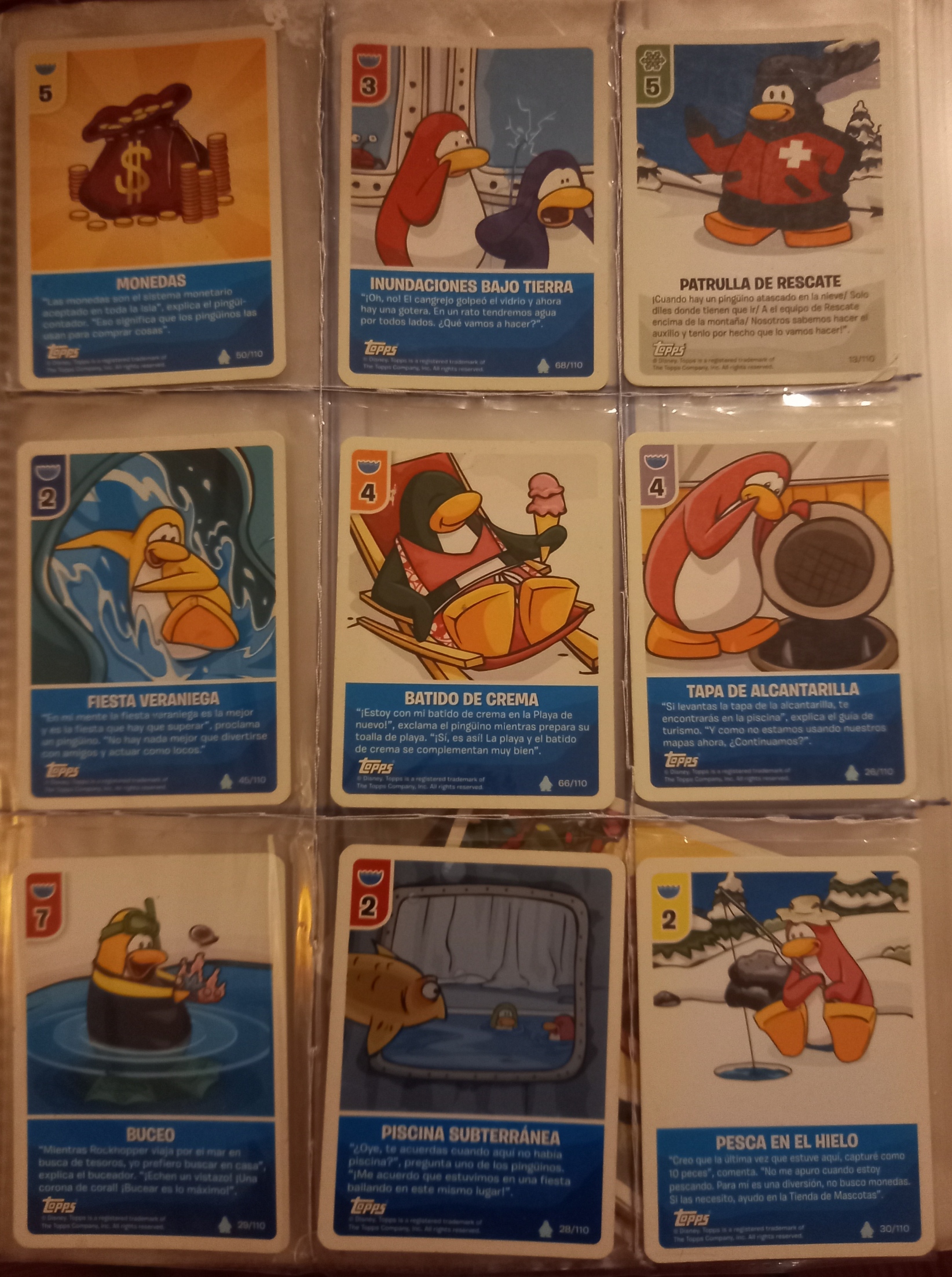 cp cards 6