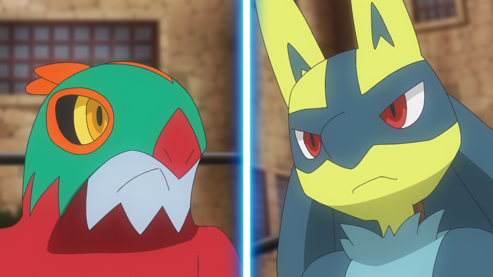 You've heard of Bird VS Camel, now get ready for Bird VS Dog