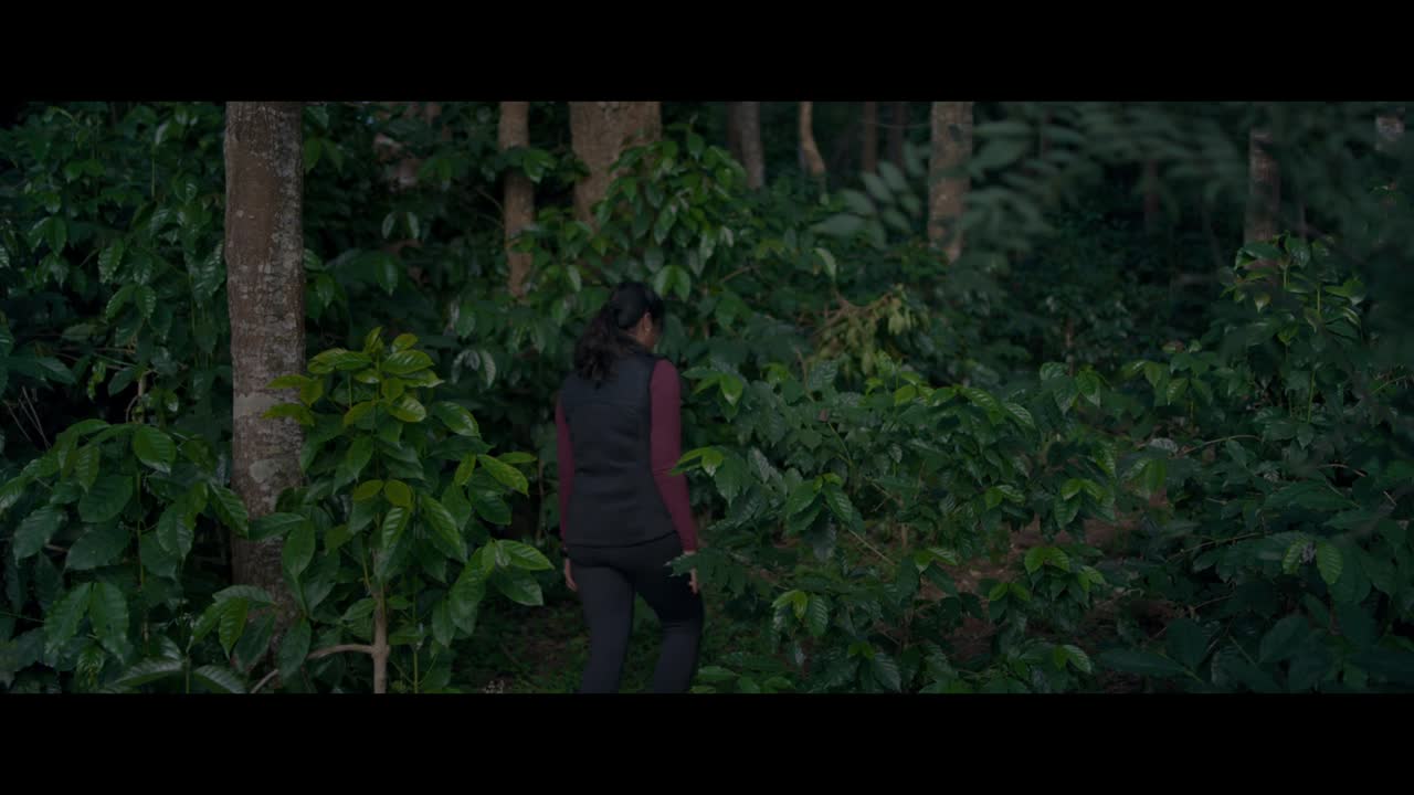 Pechi screenshot