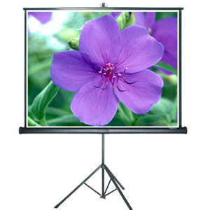 Màn chiếu Chân Grandview PT-H70x70WM 100 Inch