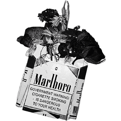 「⠀͏͏͏͏͏͏　CREATED BY NARRATOR ENTERPRISES　⠀͏͏͏͏͏͏」