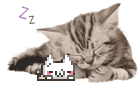 sleep