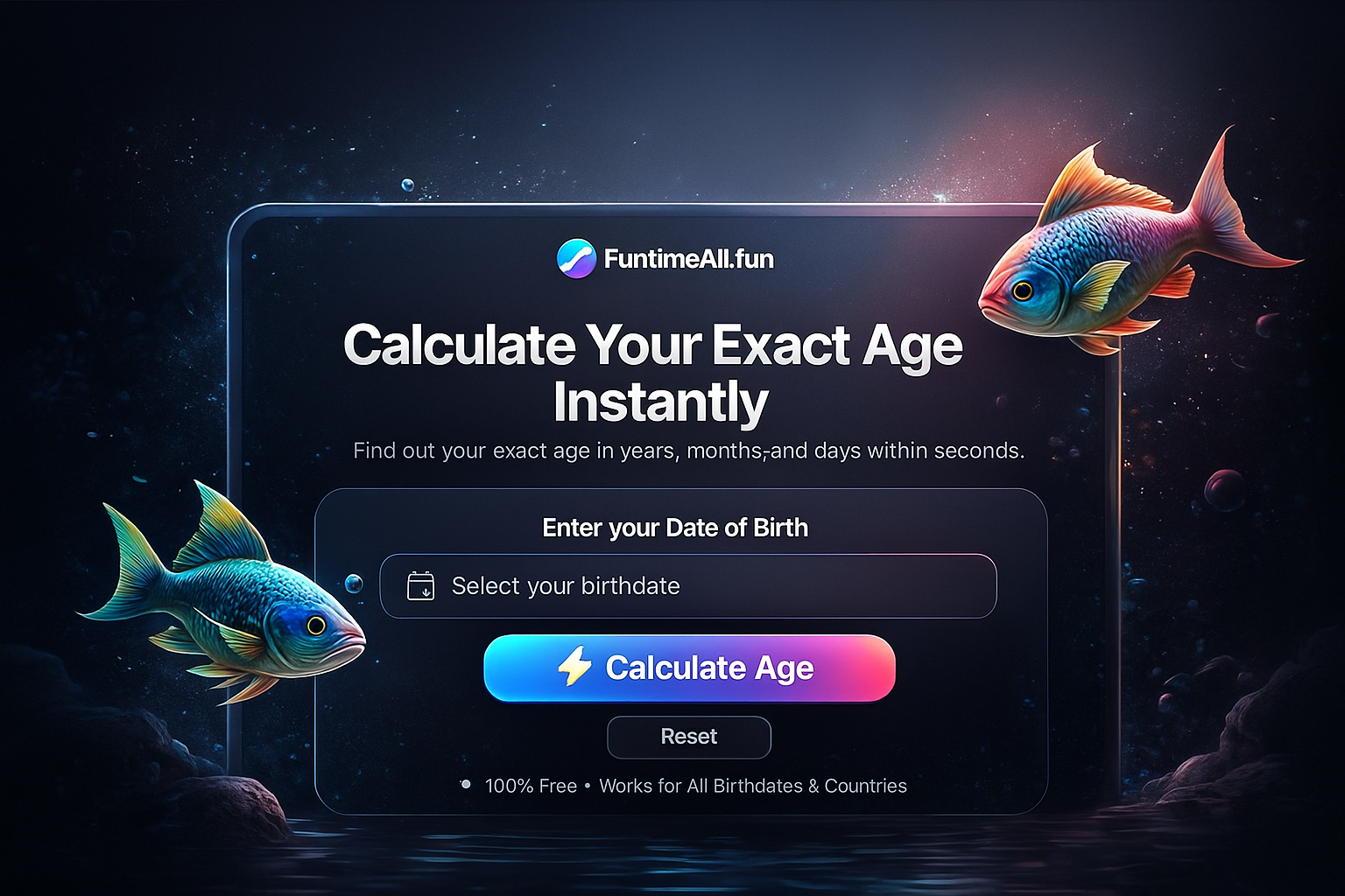 Age calculator interface preview