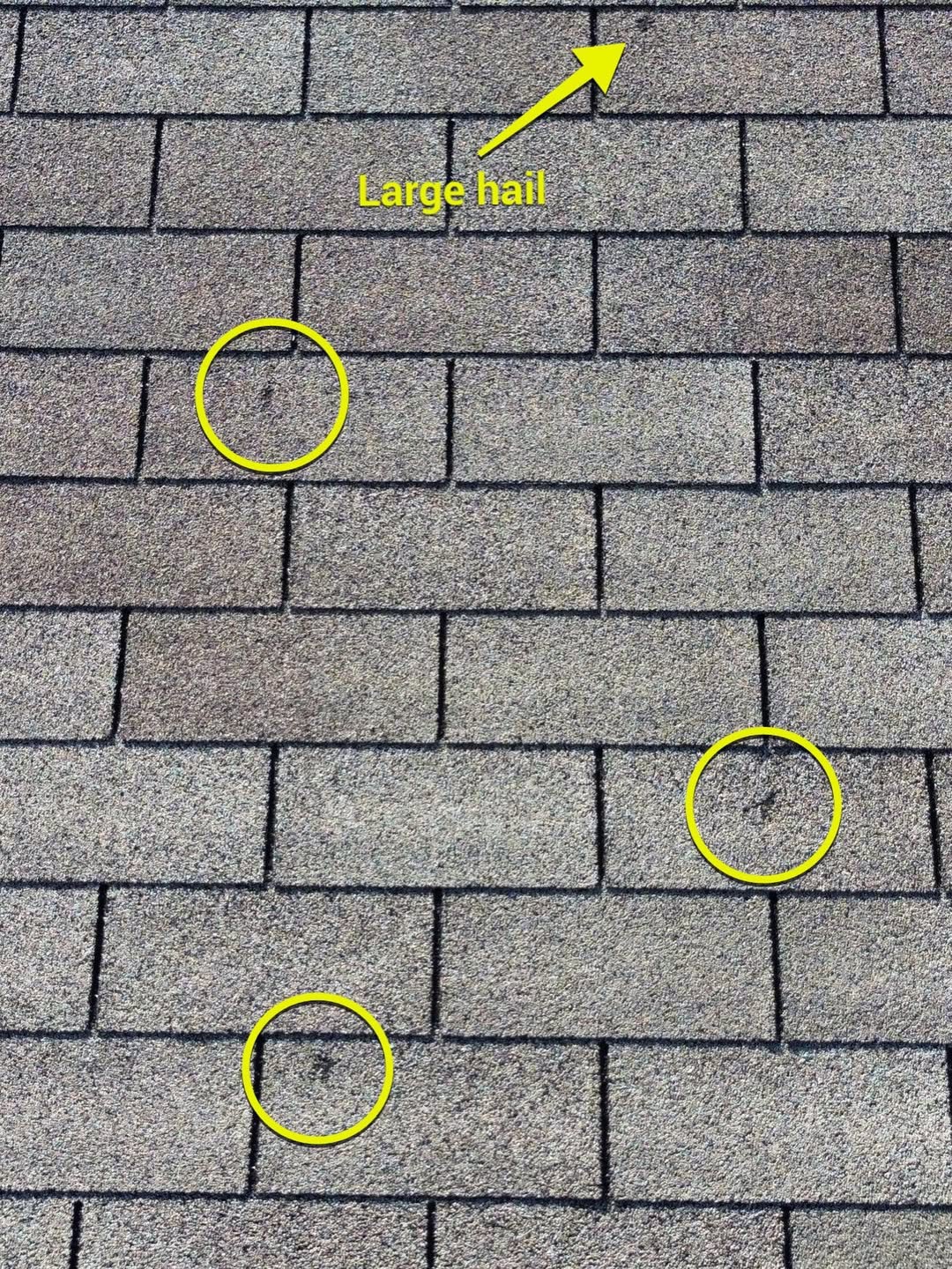 Close-up of hail marks on roof shingles