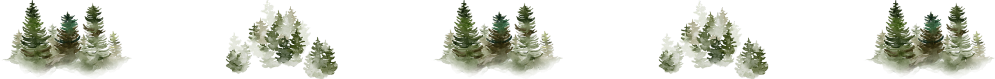 woodsdivider1