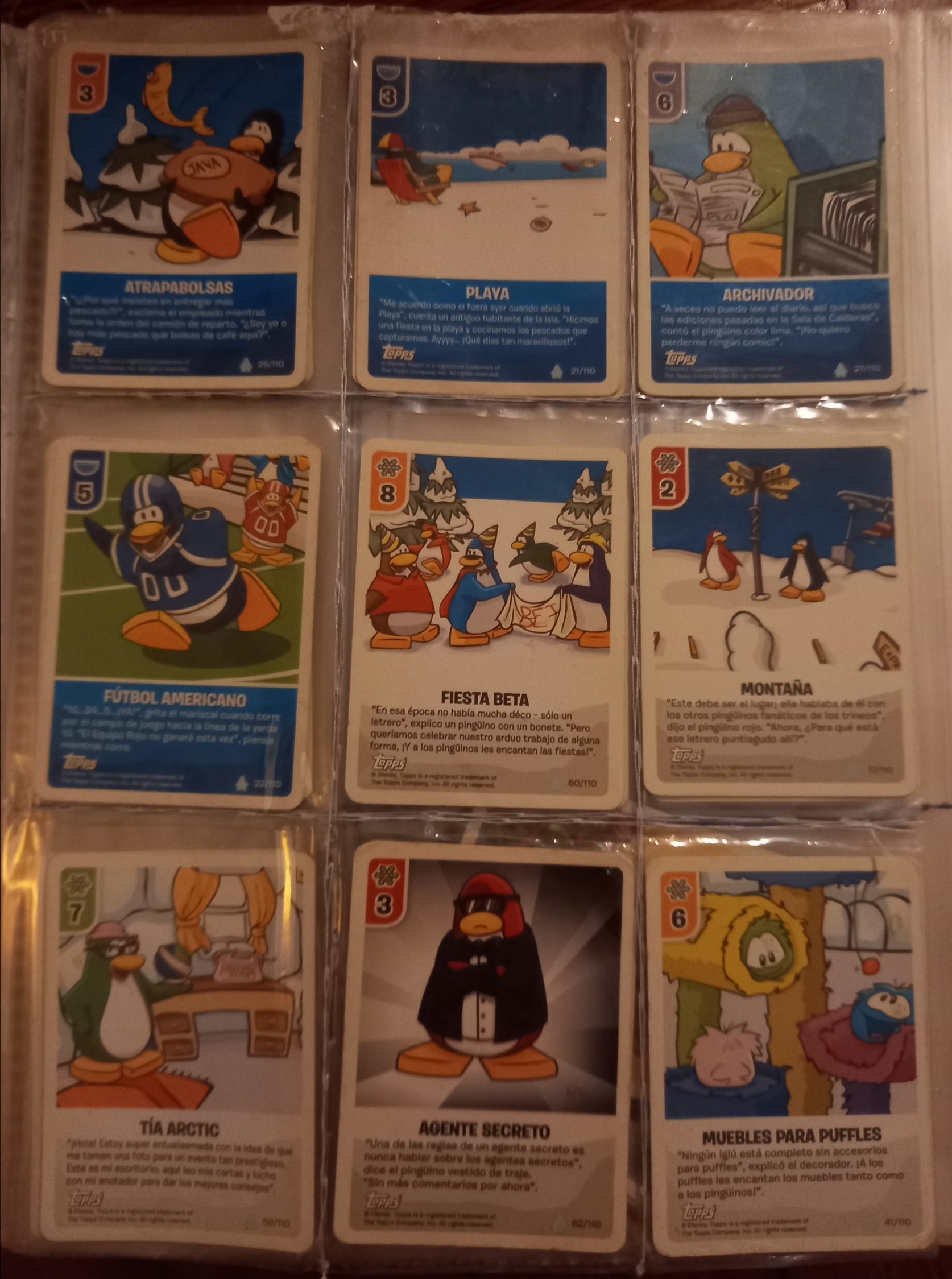 cp cards 5