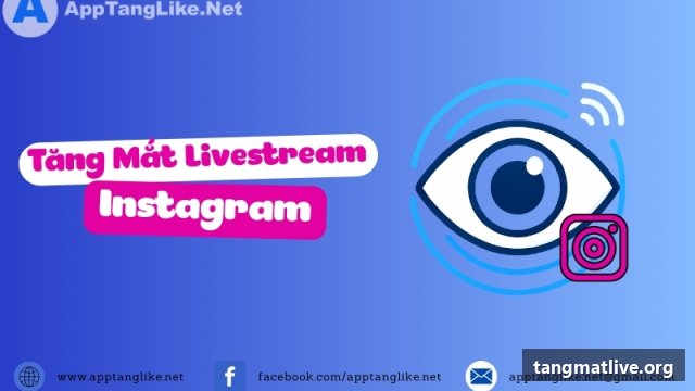 Dịch vụ tăng mắt live Instagram tại Tangmatlive.org