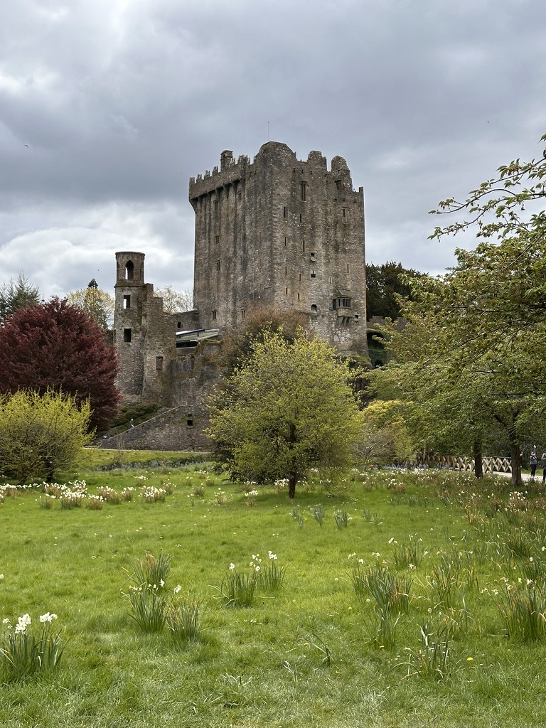 Blarney1