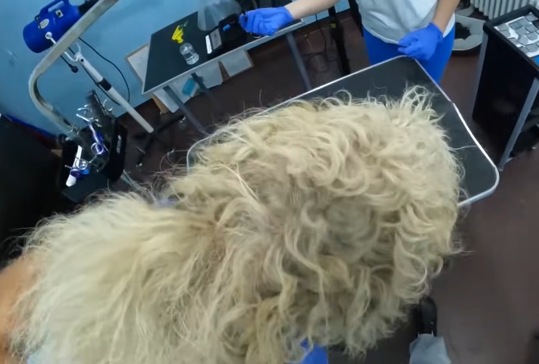 Grooming Process